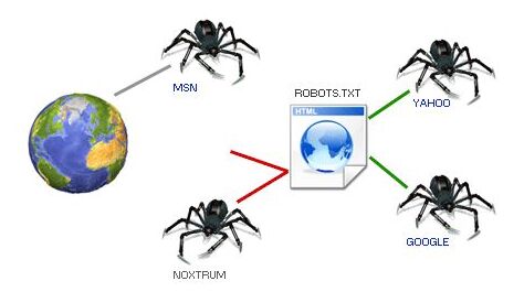 网站怎样优化才容易被蜘蛛抓取？