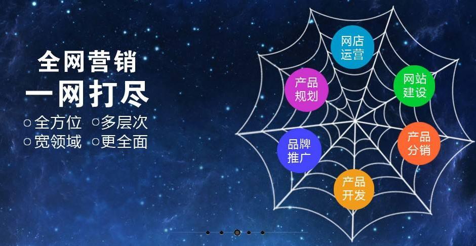 企业全网营销的策略建议
